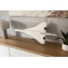 Concorde 10318 in side
