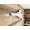 Concorde 10318 wall mount